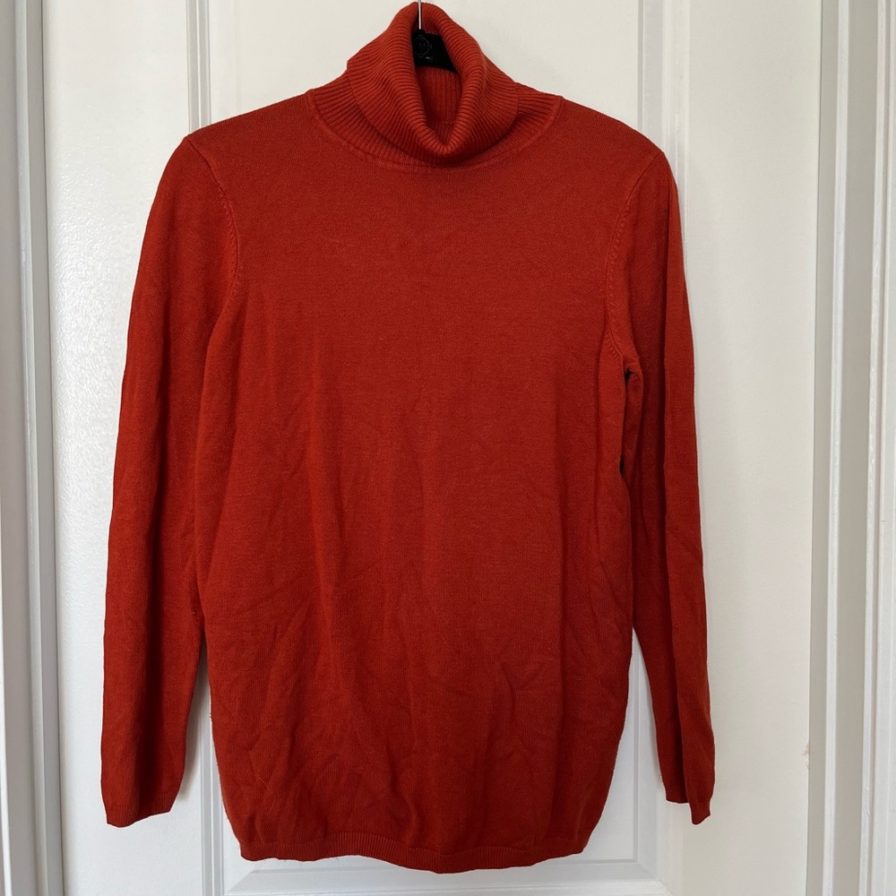 Susan Graver umber sweater